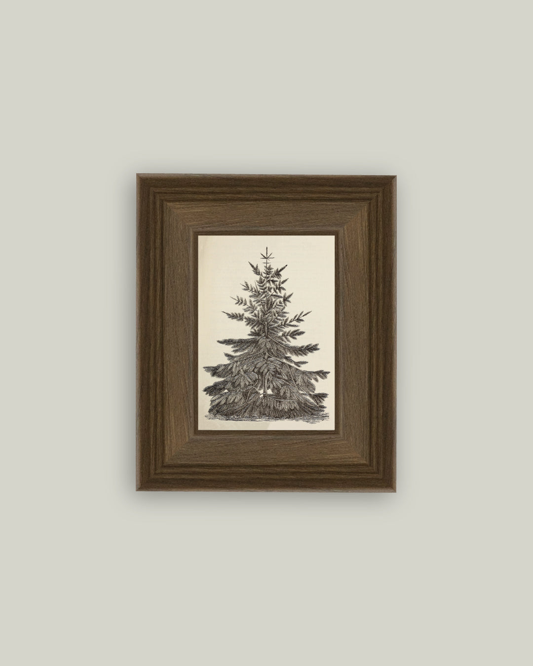 Vintage Pine Tree