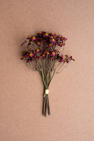 Faux Chamomile Bundle / Burgandy