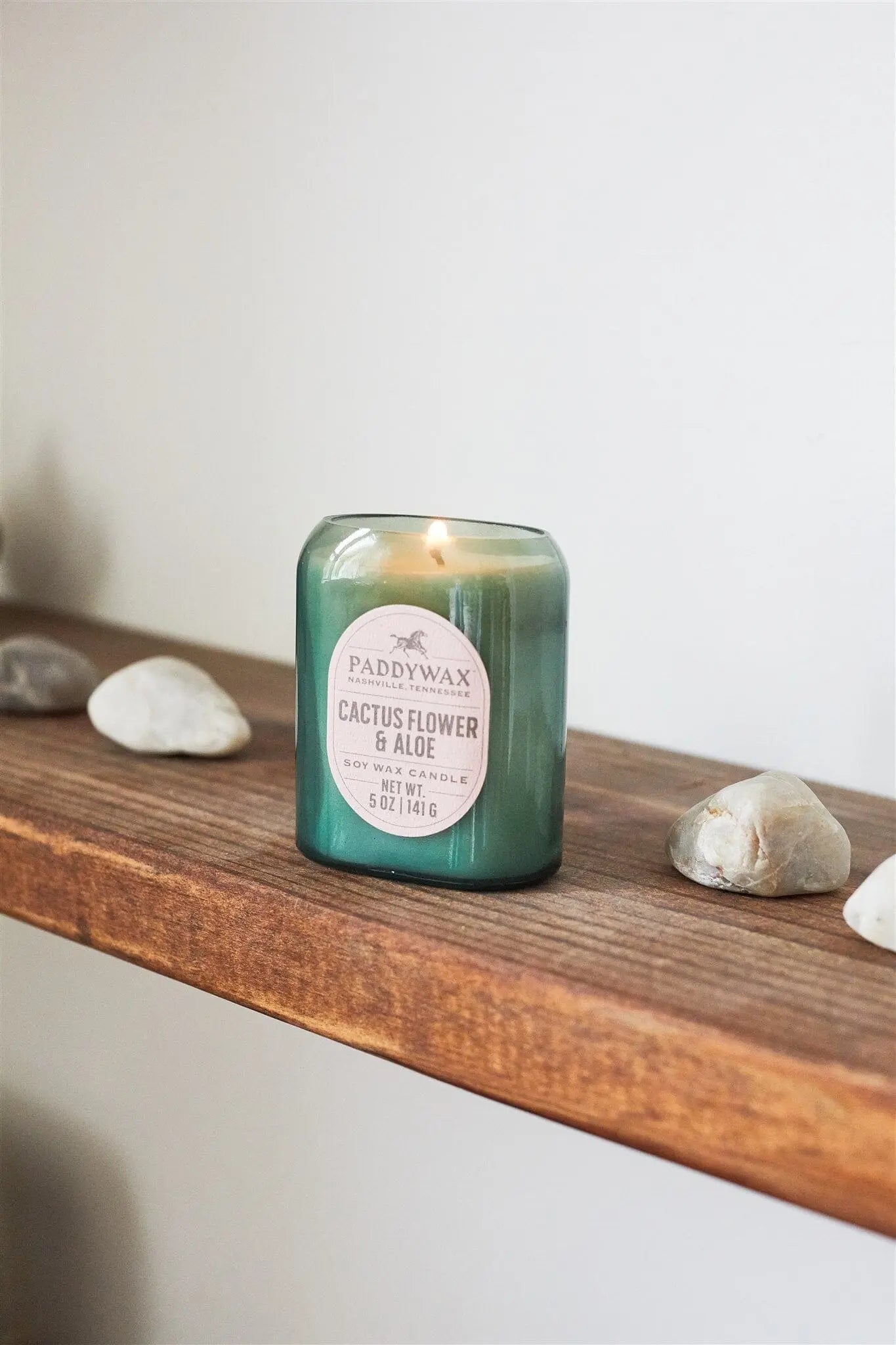 Cactus Flower & Aloe - Vista 5 oz Candle