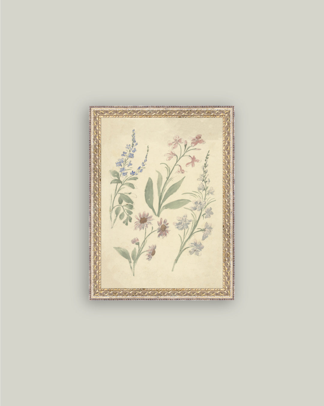 Pink and Blue Wildflowers