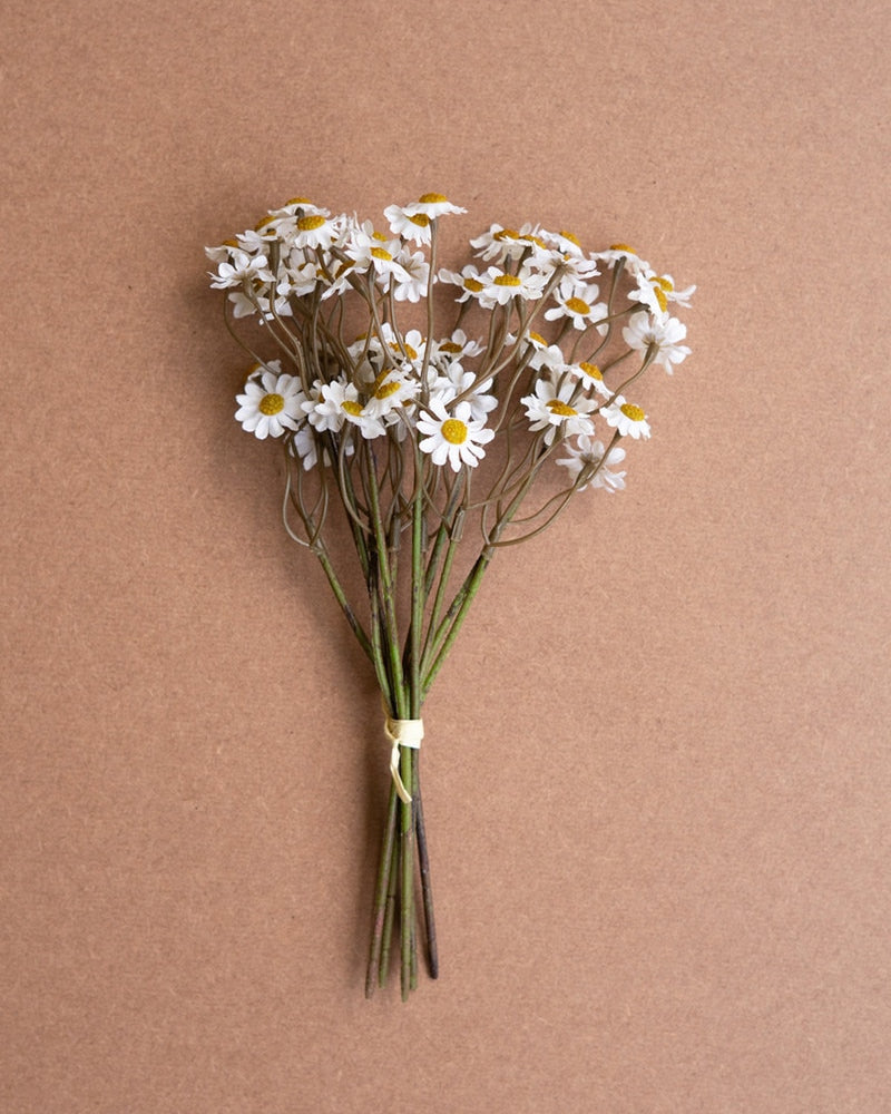 Faux Chamomile Bundle / White
