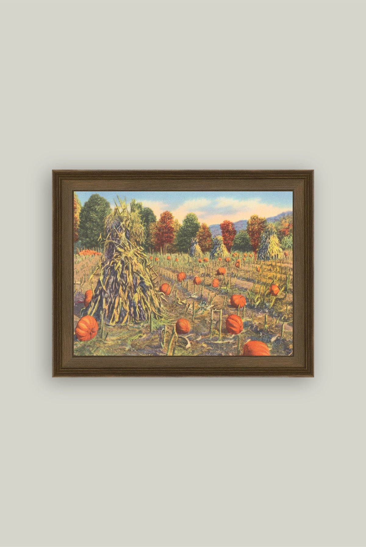 The Pumpkin Patch