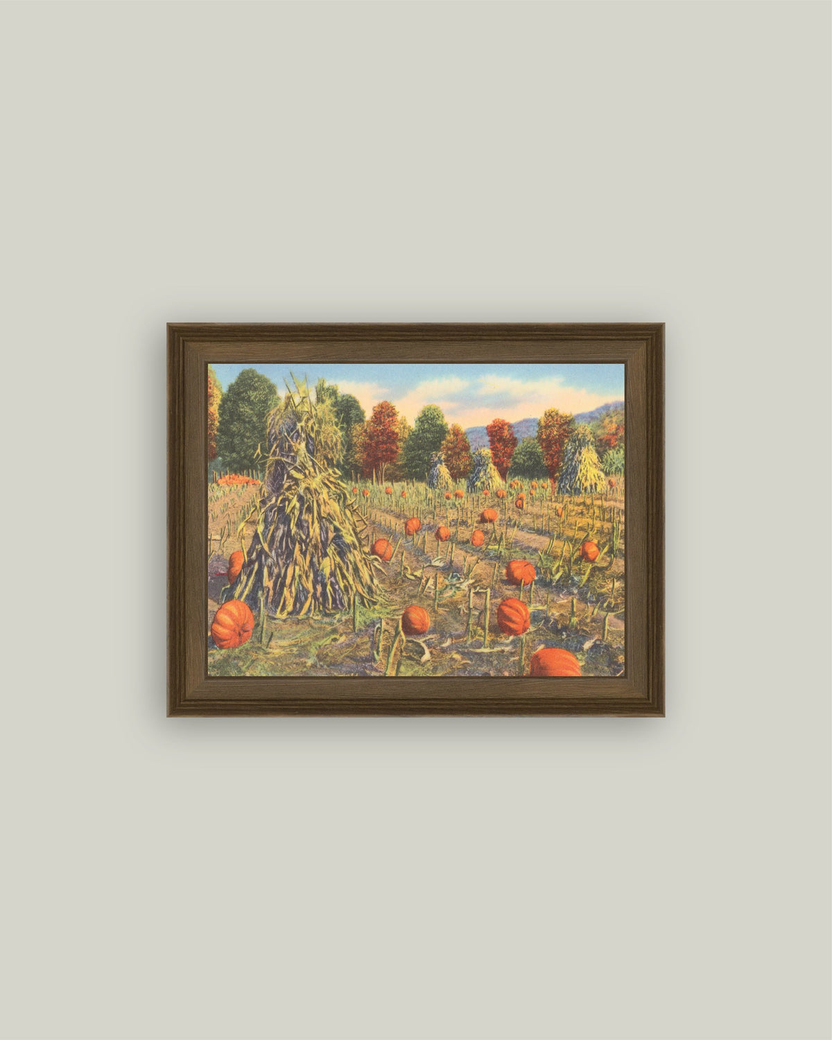 The Pumpkin Patch