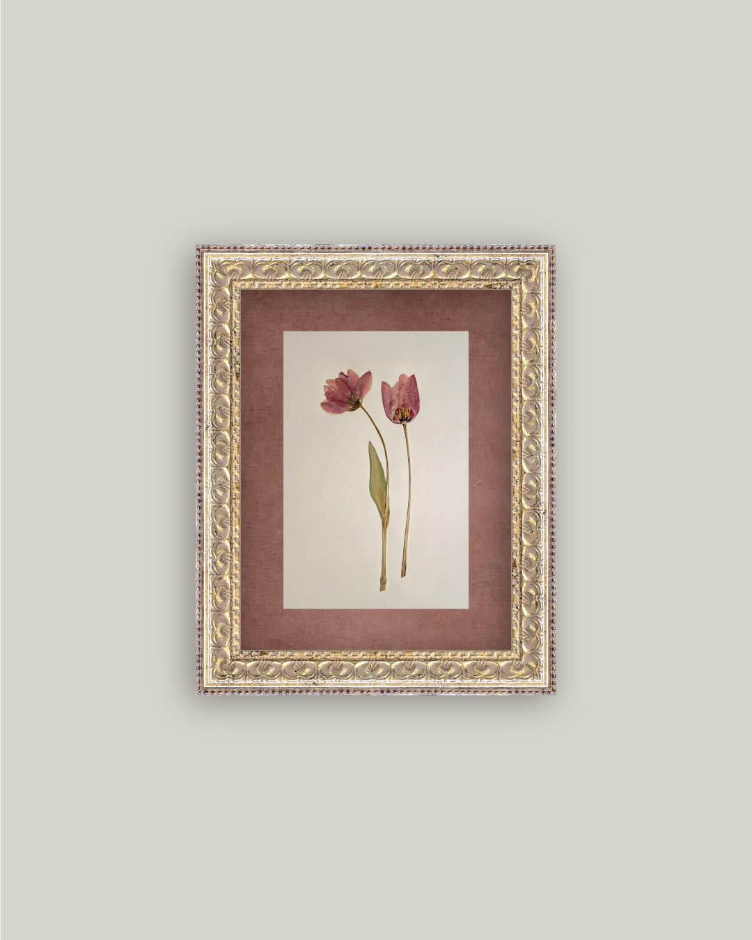 Pressed Tulips