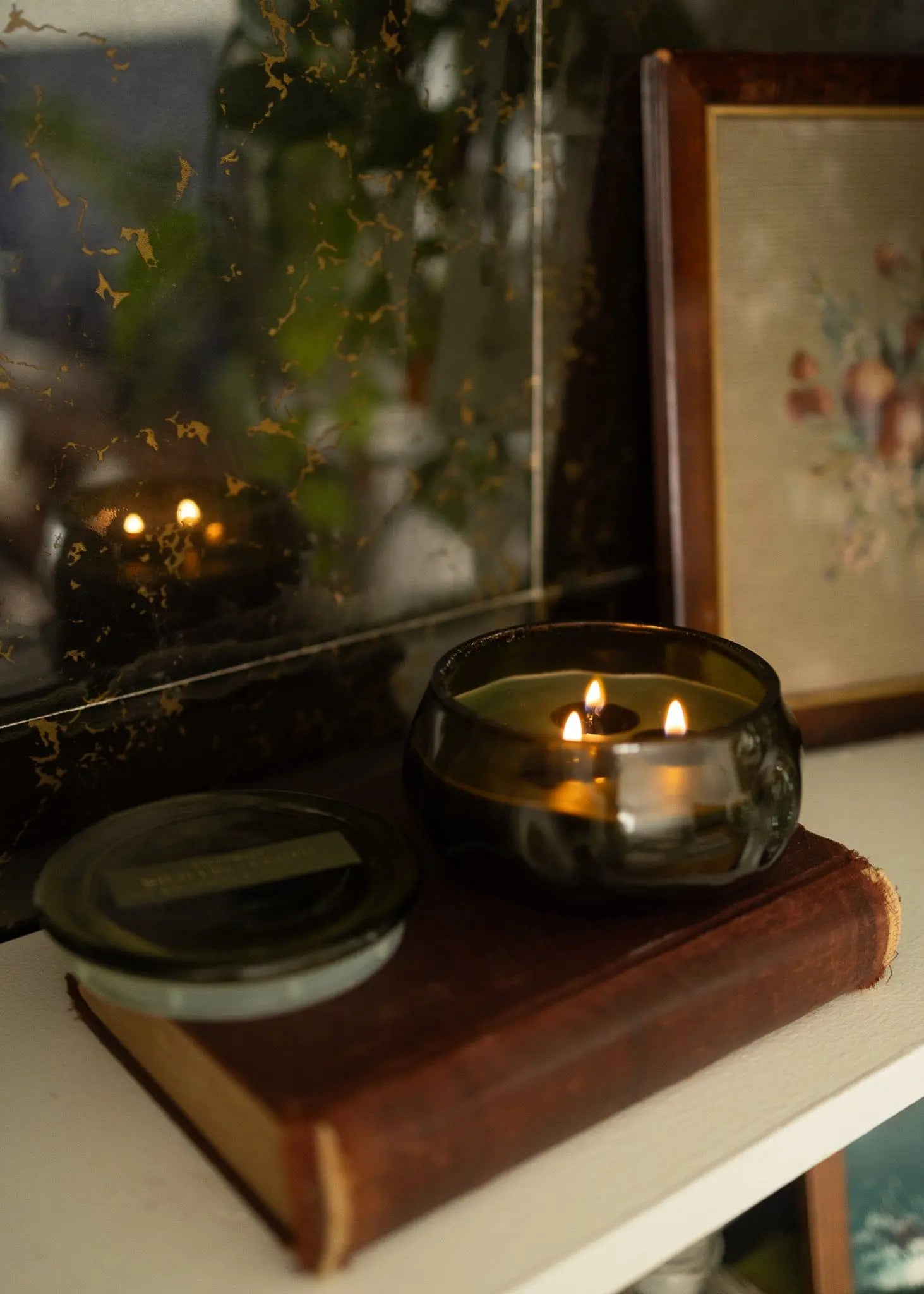 Wild Fig & Cedar - Basalt 10 oz Candle