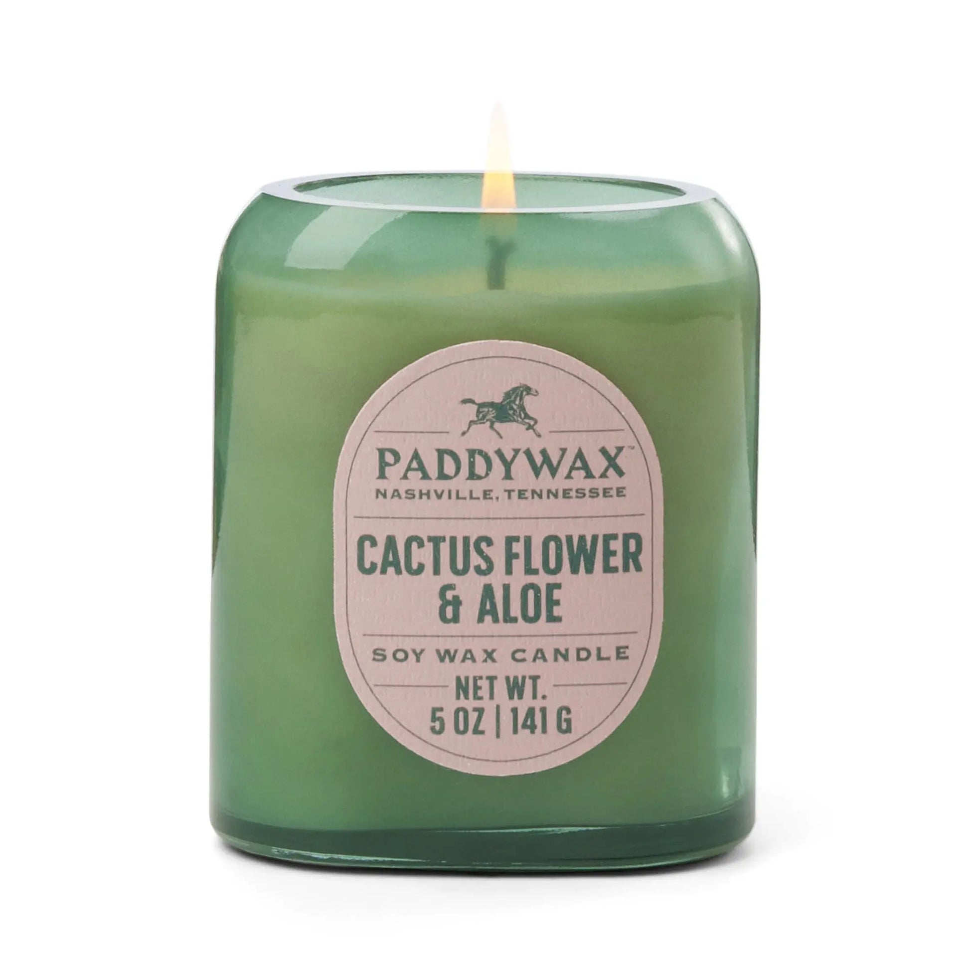 Cactus Flower & Aloe - Vista  5 oz Candle
