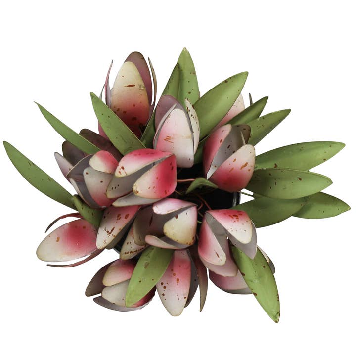 Pot with Tulips, Aluminum