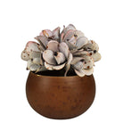 Pot with Pink Flower, Aluminum