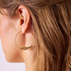 Wren Fish Hoop Earrings Brass Wholesale