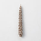Unscented Tree Shaped Taper Candles in Box, Champagne Color, Set of 2
