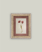 Pressed Tulips