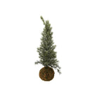 Faux Fir Tree with Moss Ball Base, Frost Finish