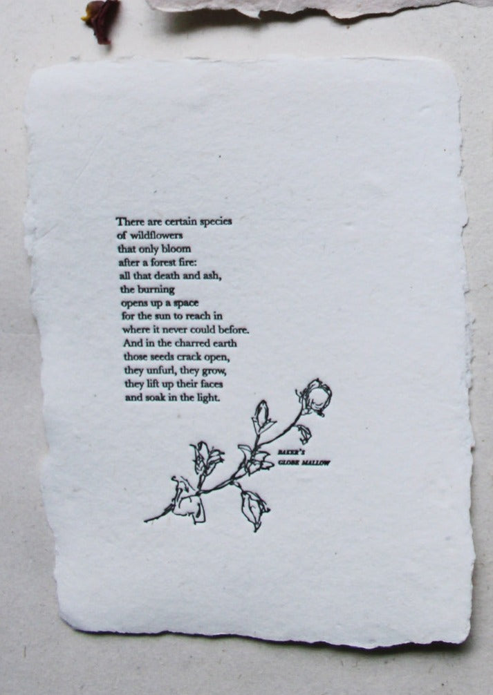 Wildflower/Wildfire Poem Print shoppe smitten