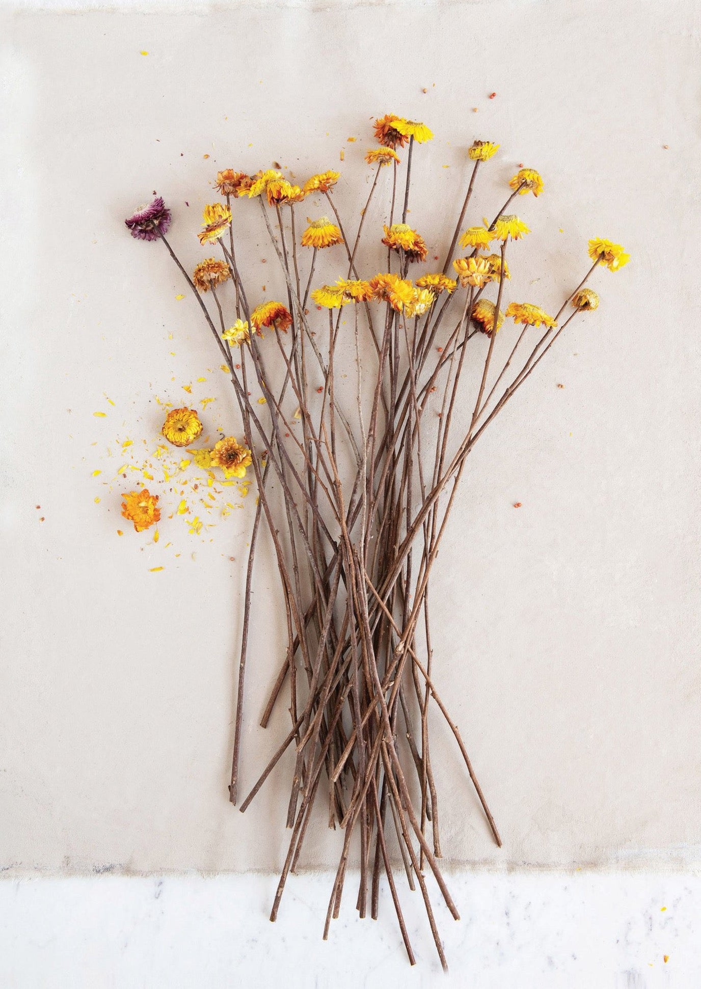 Dried Helication Flower Stem (Pickup Only) – shoppe smitten